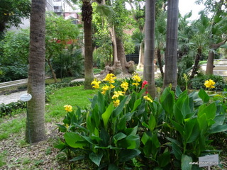 to botanico Catania-25-05-2017 07-38-36